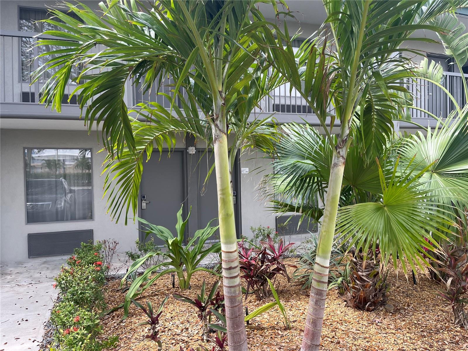 7150 TAMIAMI TRAIL #S510