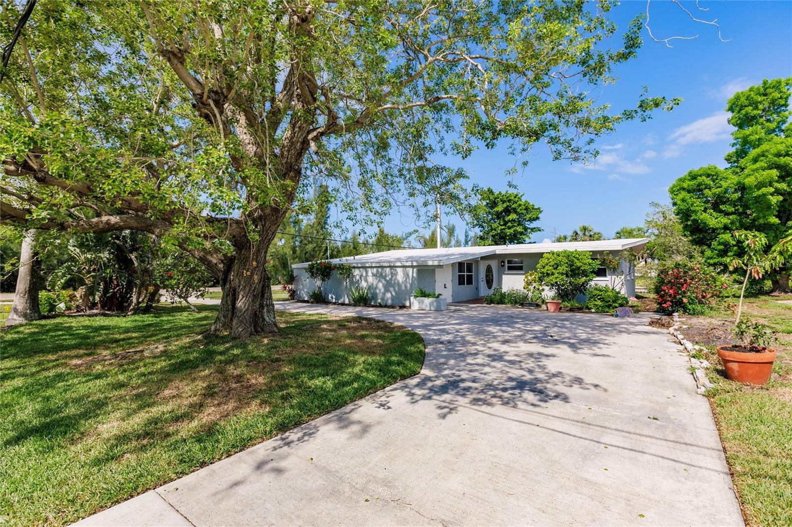 3129 BUTTONWOOD PLACE