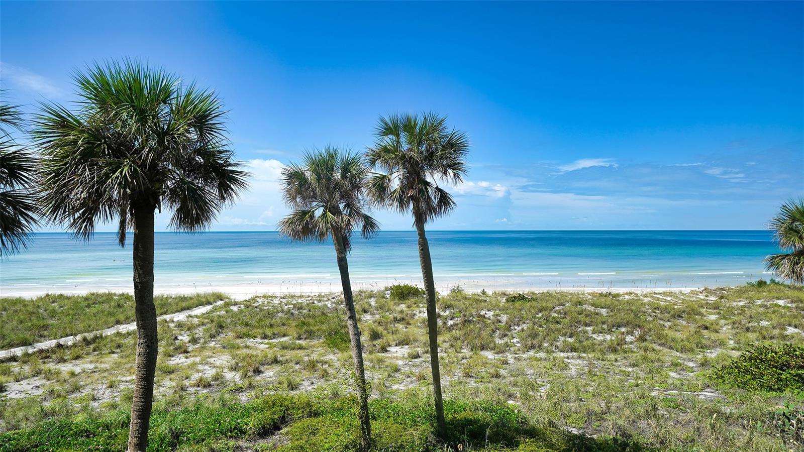 4325 GULF OF MEXICO DRIVE #305