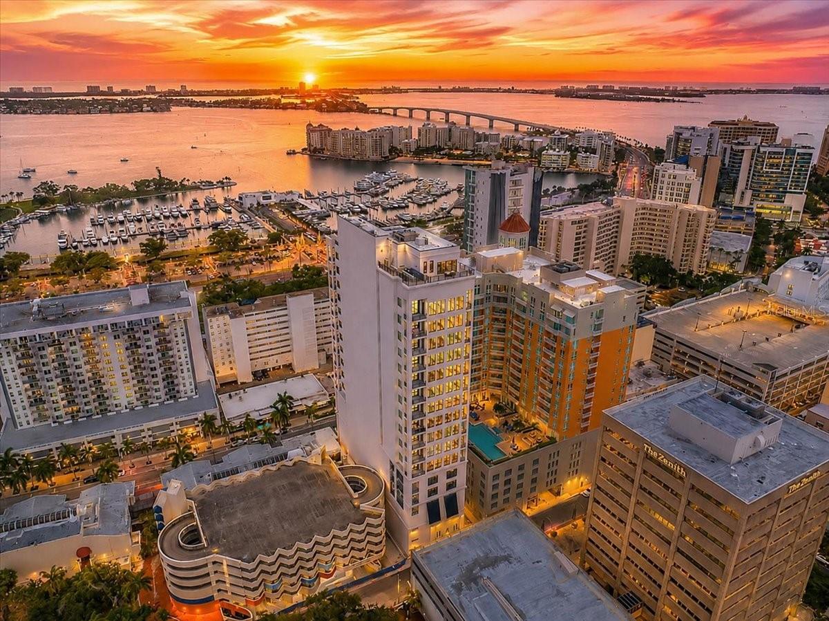 33 PALM AVENUE #901