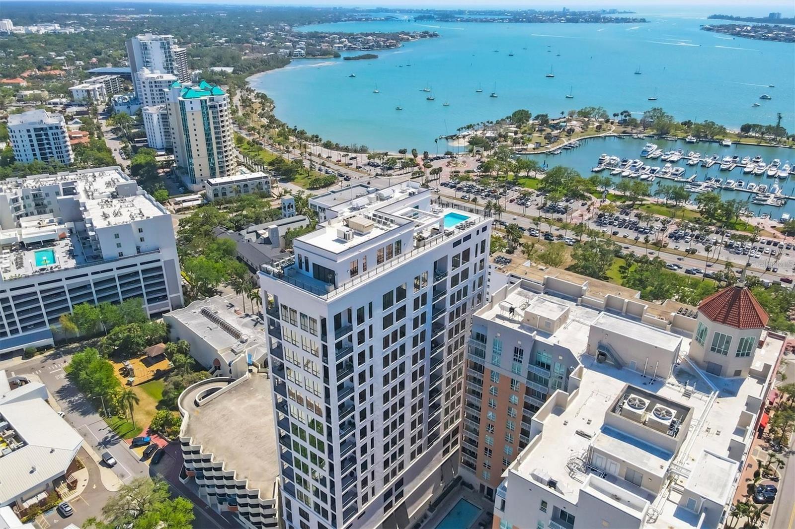 33 PALM AVENUE #1503