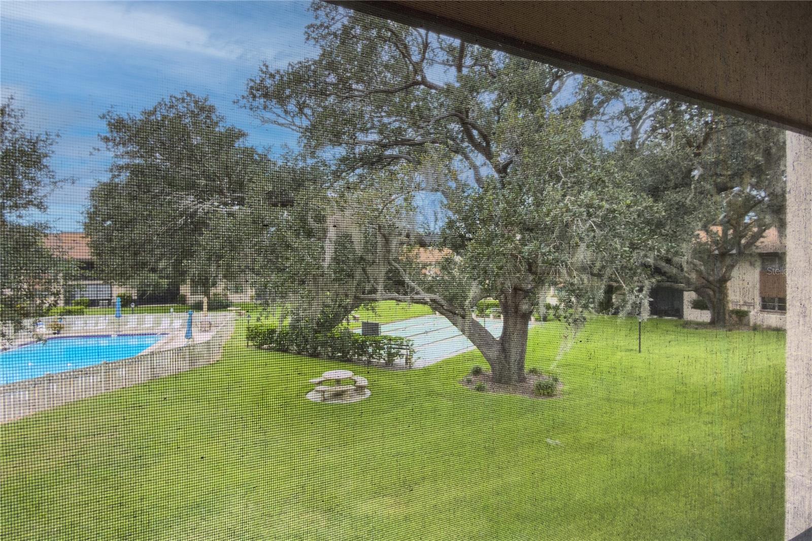 2448 CLUBHOUSE DRIVE #202