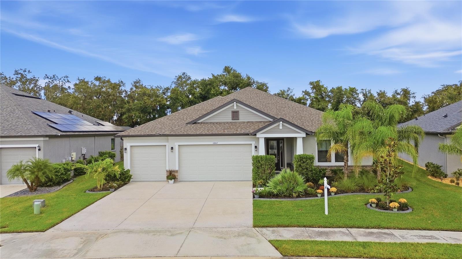 12807 WHEATGRASS COURT