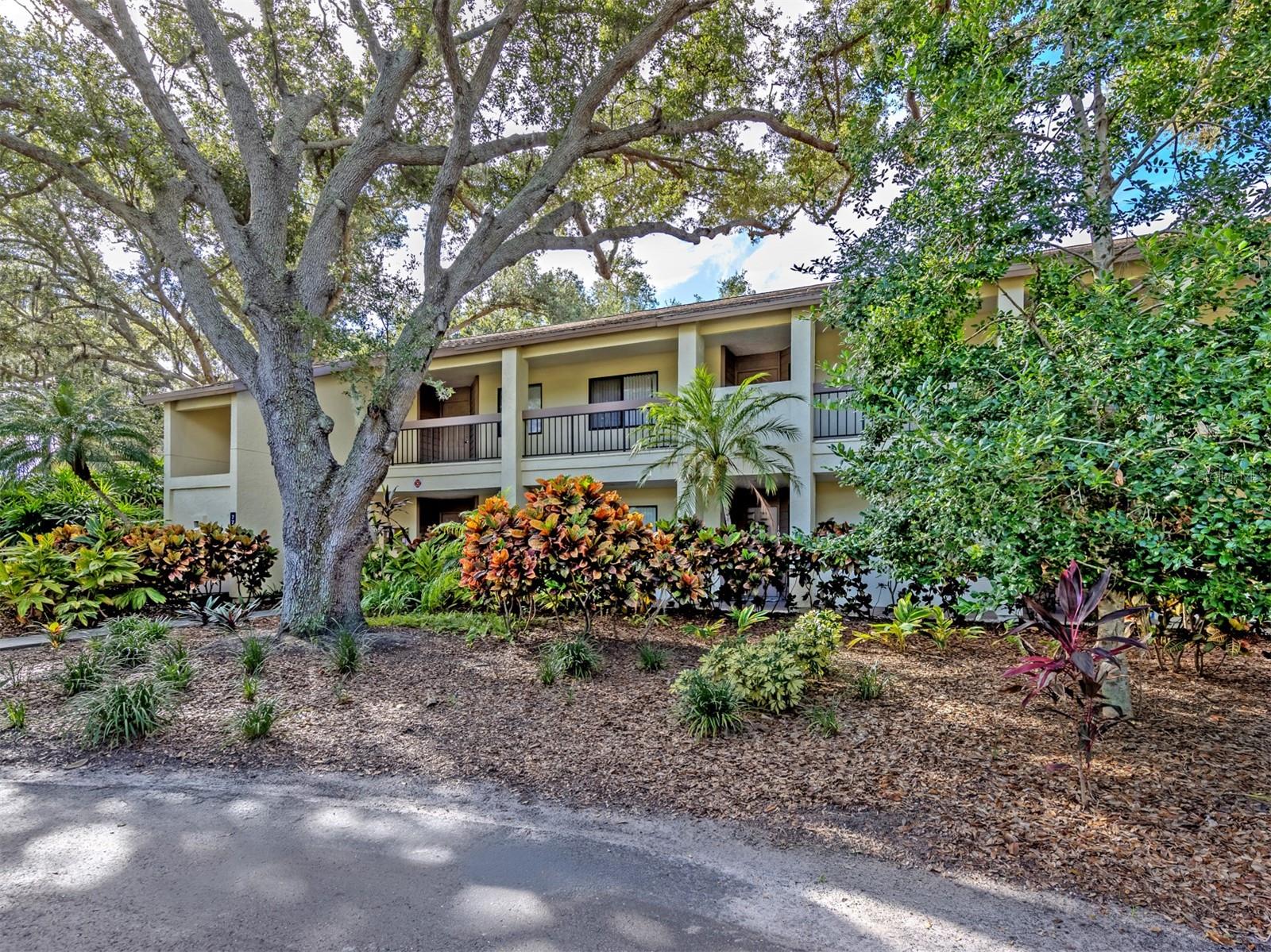 772 BIRD BAY DRIVE #202