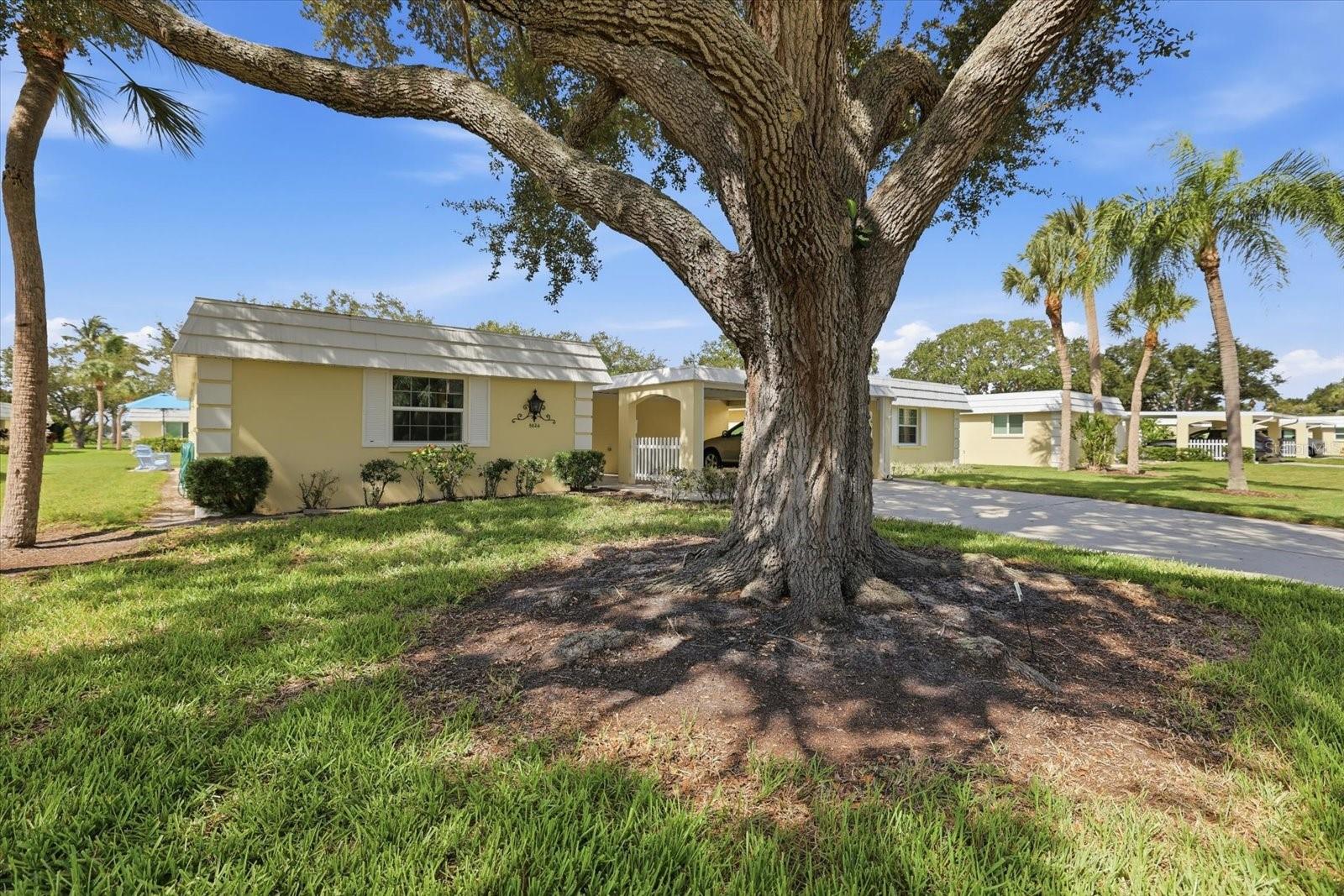 5826 DRIFTWOOD PLACE