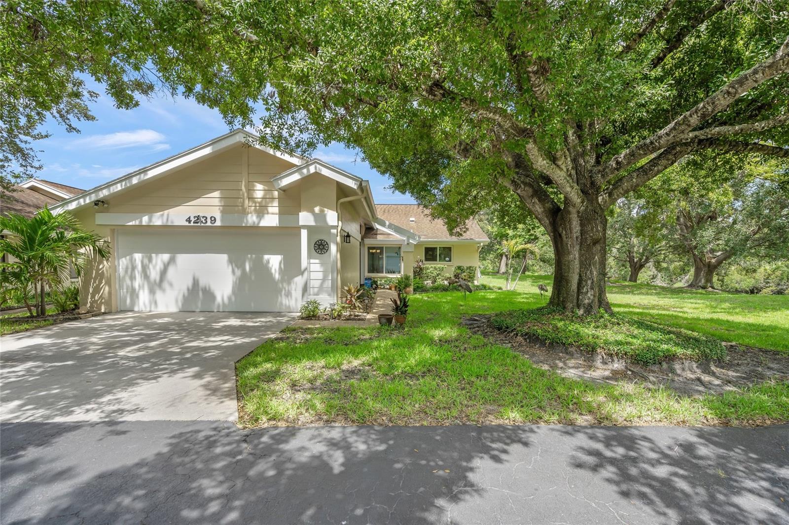 4239 CARRIAGE DRIVE #36