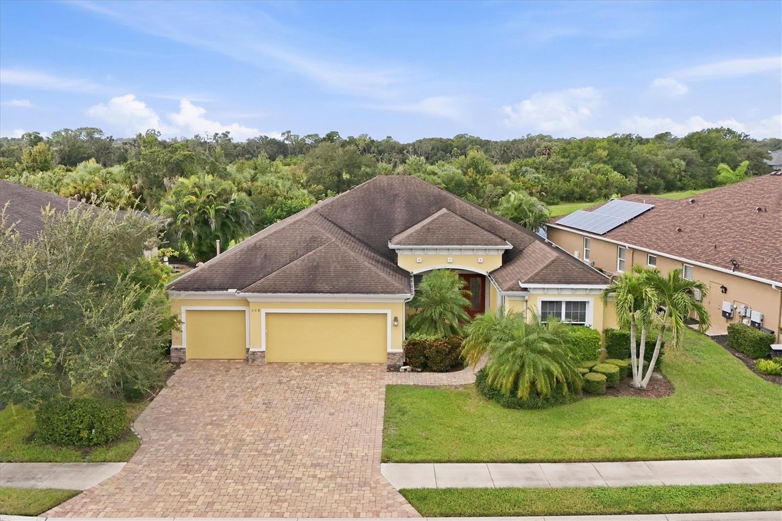 640 HONEYFLOWER LOOP