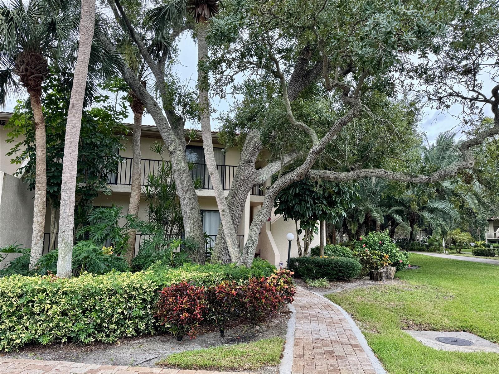 3450 WOOD OWL CIRCLE #284